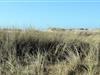 Bild 20 - Aussicht
