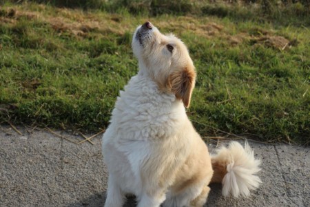 Bild 4