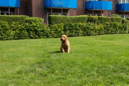 Bild 4