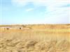 Bild 39 - Aussicht