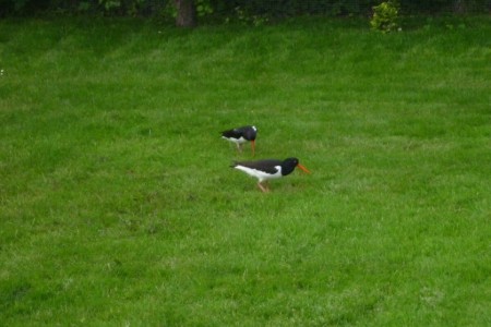 Bild 4