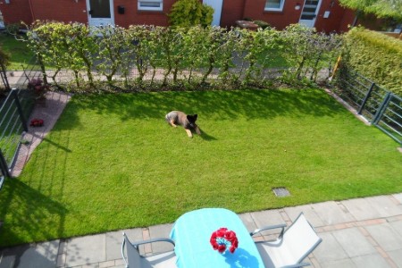 Bild 4