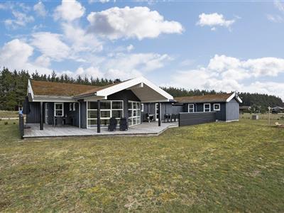 Ferienhaus - 6 Personen -  - Laustvej - 9493 - Saltum