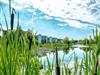 Bild 13 - Innen
