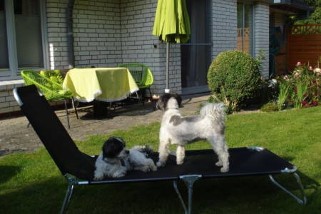 Bild 3