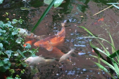 Bild 3