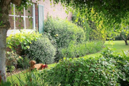 Bild 4