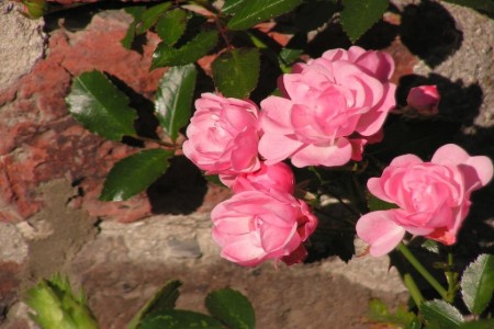 Bild 2