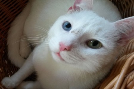 Bild 4
