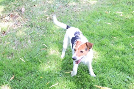Bild 3