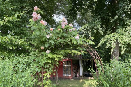 Bild 4
