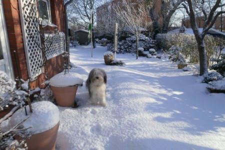 Bild 4
