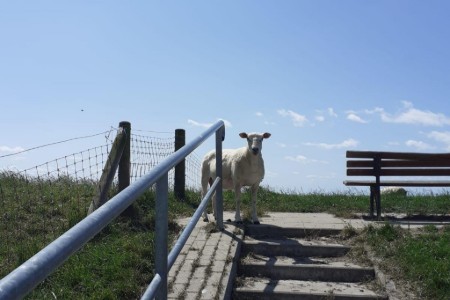 Bild 4