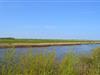 Bild 14 - Gebiet
