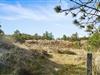 Bild 30 - Gebiet
