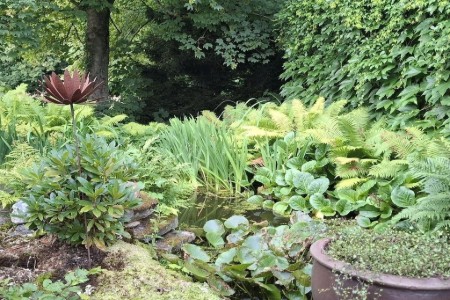 Bild 4